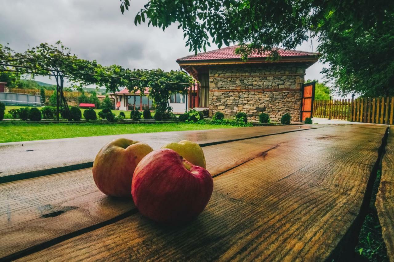 Завоя Hotel Krushuna Luaran gambar